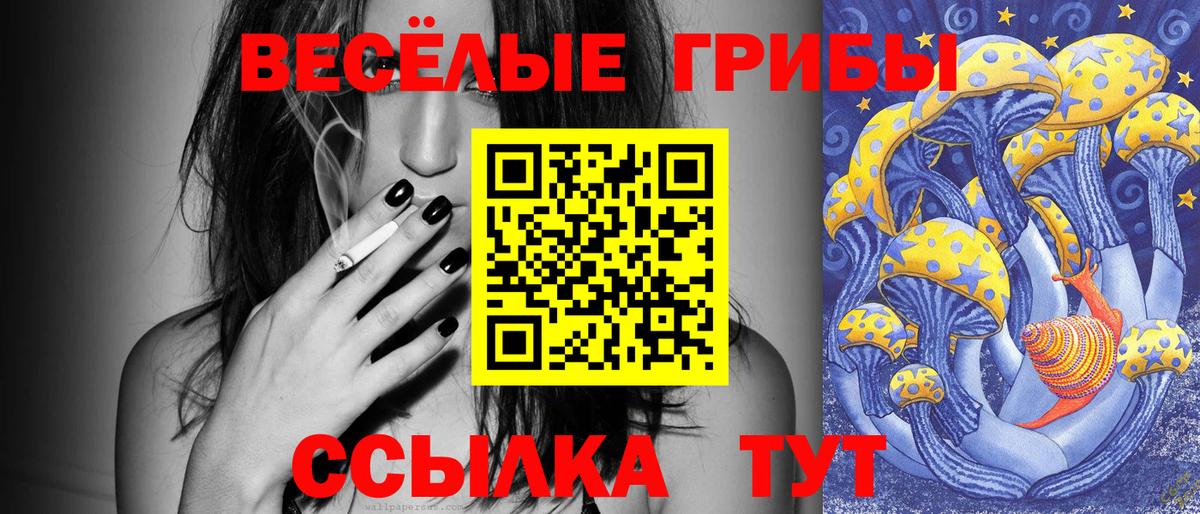 Юрга  Галлюциногенные грибы Cubensis  Вход с VPN 