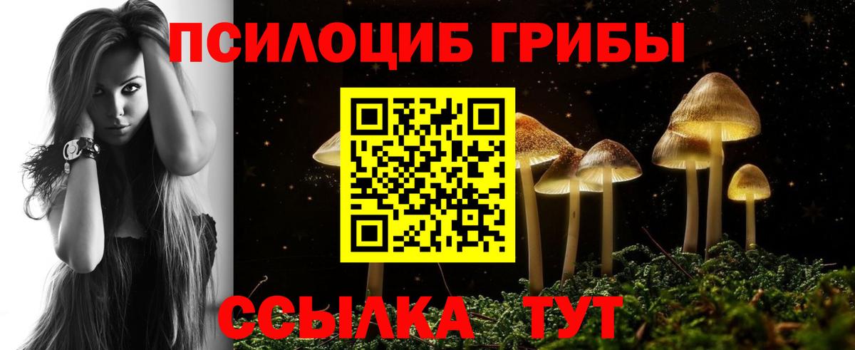 Галлюциногенные грибы Psilocybe Юрга